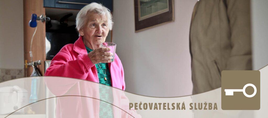Pečovatelská služba